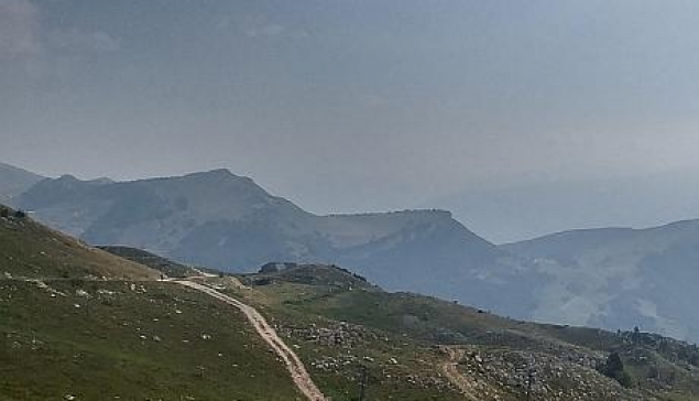 נדחתה התנגדות יתומים לקיום צוואה בה הוריש המנוח את רכושו לאשתו השנייה