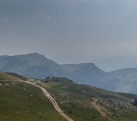 נדחתה התנגדות יתומים לקיום צוואה בה הוריש המנוח את רכושו לאשתו השנייה