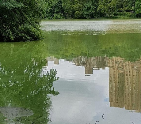 אושרה בקשה לתביעה ייצוגית נגד המימדיון בעילה של הפרת חובה להציב מתקני מים צוננים בשטחה, במקום מרכזי ונראה לעין ואי הגשת קנקן מים צוננים, ללא תשלום, ללקוחות המסעדה