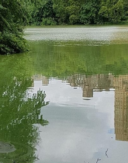 אושרה בקשה לתביעה ייצוגית נגד המימדיון בעילה של הפרת חובה להציב מתקני מים צוננים בשטחה, במקום מרכזי ונראה לעין ואי הגשת קנקן מים צוננים, ללא תשלום, ללקוחות המסעדה
